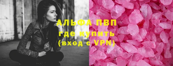 СК Ельня
