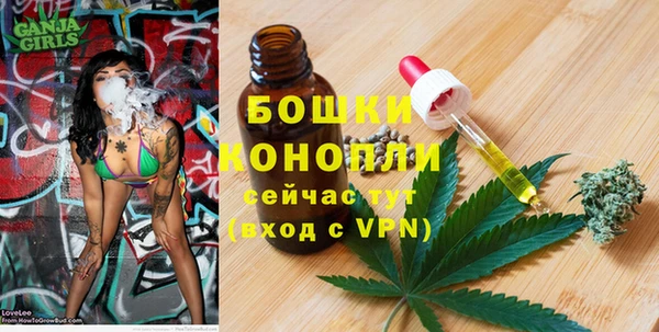 СК Ельня