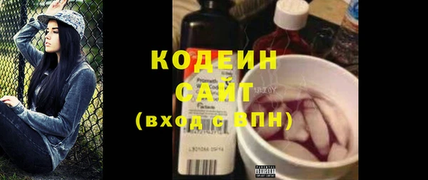 СК Ельня