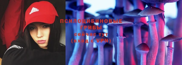СК Ельня