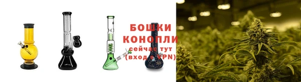 PSILOCYBIN Заволжье
