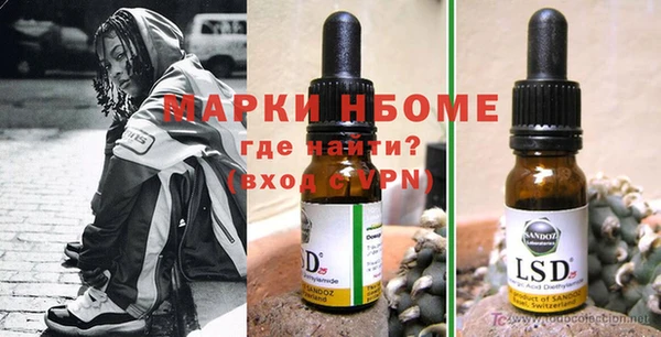 СК Ельня
