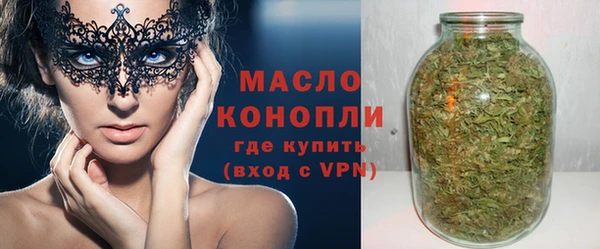 СК Ельня
