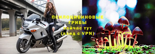 хмурый Елабуга