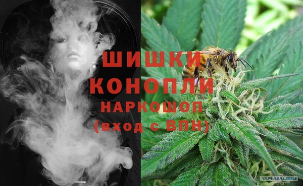 СК Ельня